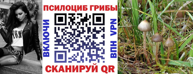 магазин продажи наркотиков Баксан OMG зеркало Галлюциногенные грибы ЛСД